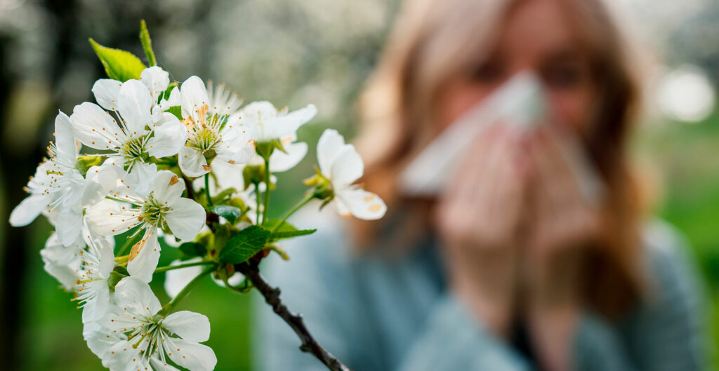 Nenän tukkoisuus ja allergia